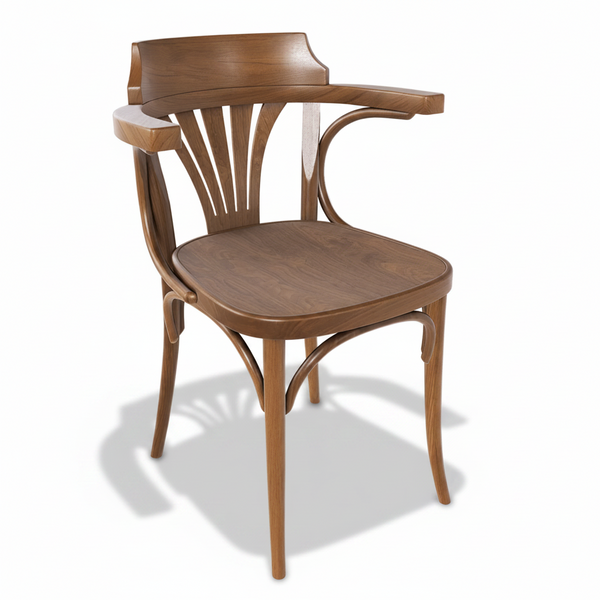 Michael Thonet No. 25 Bentwood Chair by Ton | Bauhaus2YourHouse