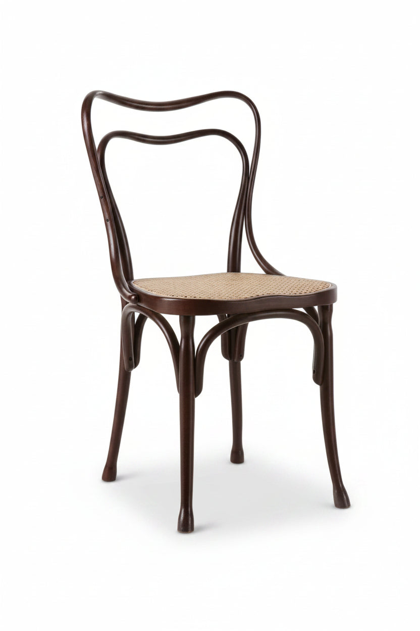 Loos Cafe Museum Bentwood Chair (Cane) by GTV | B2H – Bauhaus 2