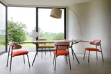 Aloa Chair by Artifort - Bauhaus 2 Your House