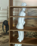 Venus Bookcase by Driade - Bauhaus 2 Your House