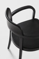 C 1920 Bentwood Armchair with Plywood Seat by GTV
