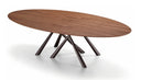 Midj Forest Elliptical Dining Table with dark brown walnut wood top and intersecting black metal legs