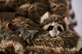 Close-up of a raccoon nestled in a pile of fur