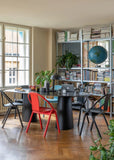 Again Bentwood Chair by Ton - Bauhaus 2 Your House
