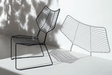 Alieno Peacock Lounge Chair by Casamania - Bauhaus 2 Your House