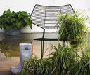 Alieno Peacock Lounge Chair by Casamania - Bauhaus 2 Your House
