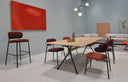 Aloa Chair by Artifort - Bauhaus 2 Your House