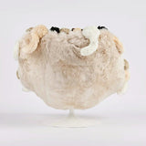 Aristo Lounge Chair by AP Collection - Bauhaus 2 Your House