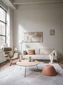 Arris Sofa - Slender Arms Version - by Artifort - Bauhaus 2 Your House