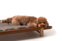 Berbere Transportable Dog Bed by Opinion Ciatti - Bauhaus 2 Your House
