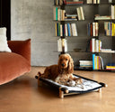 Berbere Transportable Dog Bed by Opinion Ciatti - Bauhaus 2 Your House