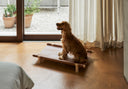 Berbere Transportable Dog Bed by Opinion Ciatti - Bauhaus 2 Your House