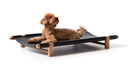 Berbere Transportable Dog Bed by Opinion Ciatti - Bauhaus 2 Your House
