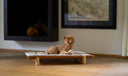 Berbere Transportable Dog Bed by Opinion Ciatti - Bauhaus 2 Your House