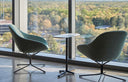 Beso Star Base Lounge Chair by Artifort - Bauhaus 2 Your House
