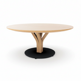 Bloom Bentwood Coffee Table by Ton - Bauhaus 2 Your House