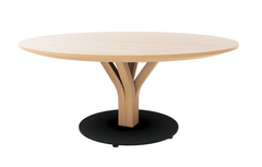 Bloom Bentwood Coffee Table by Ton - Bauhaus 2 Your House