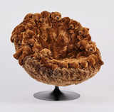 Chubby Baloo Lounge Chair by AP Collection - Bauhaus 2 Your House