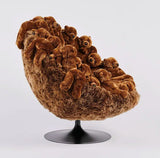 Chubby Baloo Lounge Chair by AP Collection - Bauhaus 2 Your House