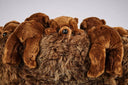 Chubby Baloo Lounge Chair by AP Collection - Bauhaus 2 Your House