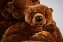 Chubby Baloo Lounge Chair by AP Collection - Bauhaus 2 Your House