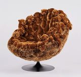 Chubby Baloo Lounge Chair by AP Collection - Bauhaus 2 Your House