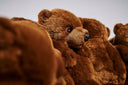 Chubby Baloo Lounge Chair by AP Collection - Bauhaus 2 Your House