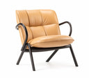 Cissy Low-Back Lounge Chair by Ton - Bauhaus 2 Your House