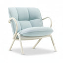 Cissy Low-Back Lounge Chair by Ton - Bauhaus 2 Your House