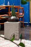 Curb Accent Table by Lyon Beton - Bauhaus 2 Your House