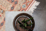 Curb Accent Table by Lyon Beton - Bauhaus 2 Your House