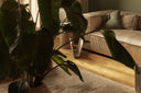 Doc Magazine Rack by Lyon Beton - Bauhaus 2 Your House