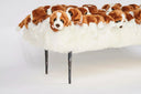 Doggy Bench by AP Collection - Bauhaus 2 Your House