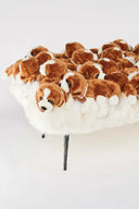 Doggy Bench by AP Collection - Bauhaus 2 Your House