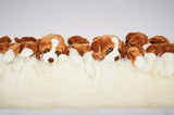 Doggy Bench by AP Collection - Bauhaus 2 Your House