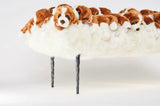 Doggy Bench by AP Collection - Bauhaus 2 Your House