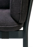 Dowel Bentwood Lounge Chair by Ton - Bauhaus 2 Your House