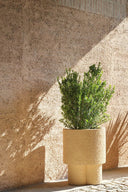Erasmo Vase 2 by CIMENTO® - Bauhaus 2 Your House