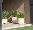 Erasmo Vase 2 by CIMENTO® - Bauhaus 2 Your House