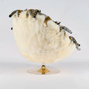 Eye of the Tiger Lounge Chair by AP Collection - Bauhaus 2 Your House