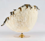 Eye of the Tiger Lounge Chair by AP Collection - Bauhaus 2 Your House