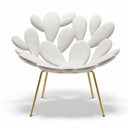 Filicudi Armchair Brass by Qeeboo - Bauhaus 2 Your House