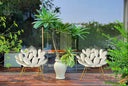 Filicudi Armchair Brass by Qeeboo - Bauhaus 2 Your House