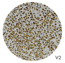 Frari Coffee Table by CIMENTO® - Bauhaus 2 Your House