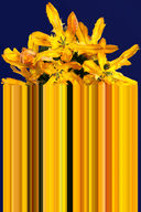 Glitch Yellow Rectangular Carpet by Qeeboo - Bauhaus 2 Your House