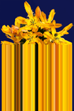 Glitch Yellow Rectangular Carpet by Qeeboo - Bauhaus 2 Your House