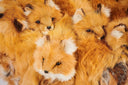 Golden Fox Pouf by AP Collection - Bauhaus 2 Your House