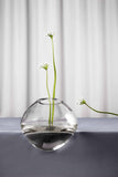 Gutta Vase by Noom - Bauhaus 2 Your House
