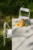 ILtavolo 2.0 Dining Table by Opinion Ciatti - Bauhaus 2 Your House