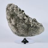 Koala Lounge Chair by AP Collection - Bauhaus 2 Your House